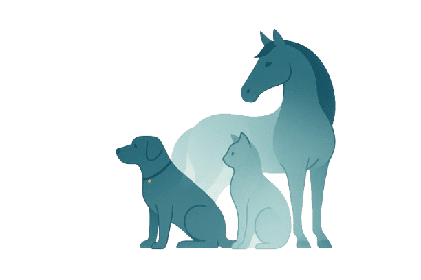 Silhouettes chien, chat et cheval